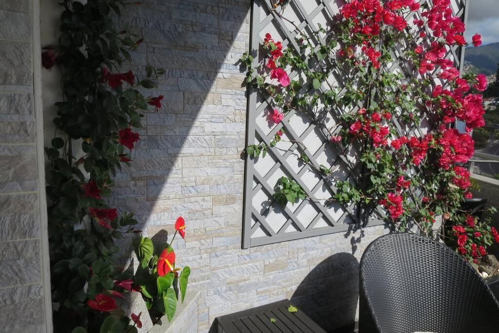 شقة Varandas Da Fe فونشال المظهر الخارجي الصورة